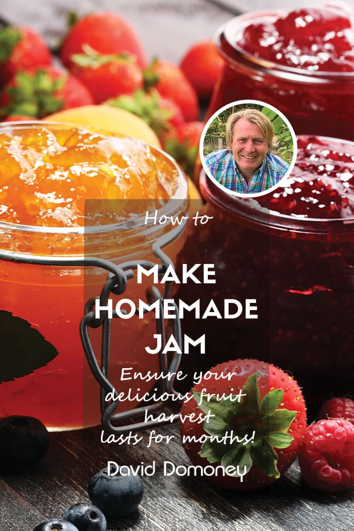 How to make jam