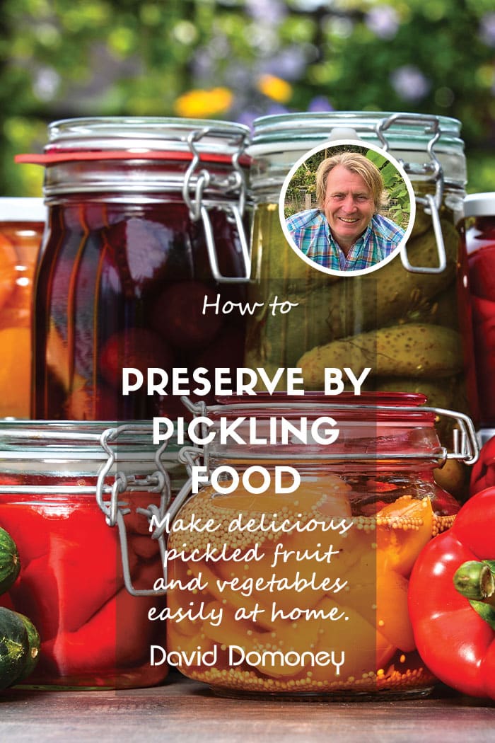 How to pickle