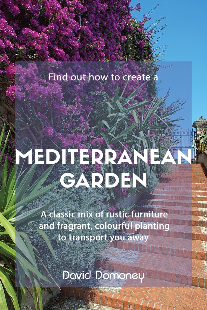 Ideas for designing a Mediterranean garden