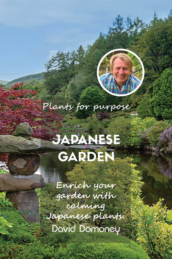 Plants for a Purpose – Plants for a Japanese Garden