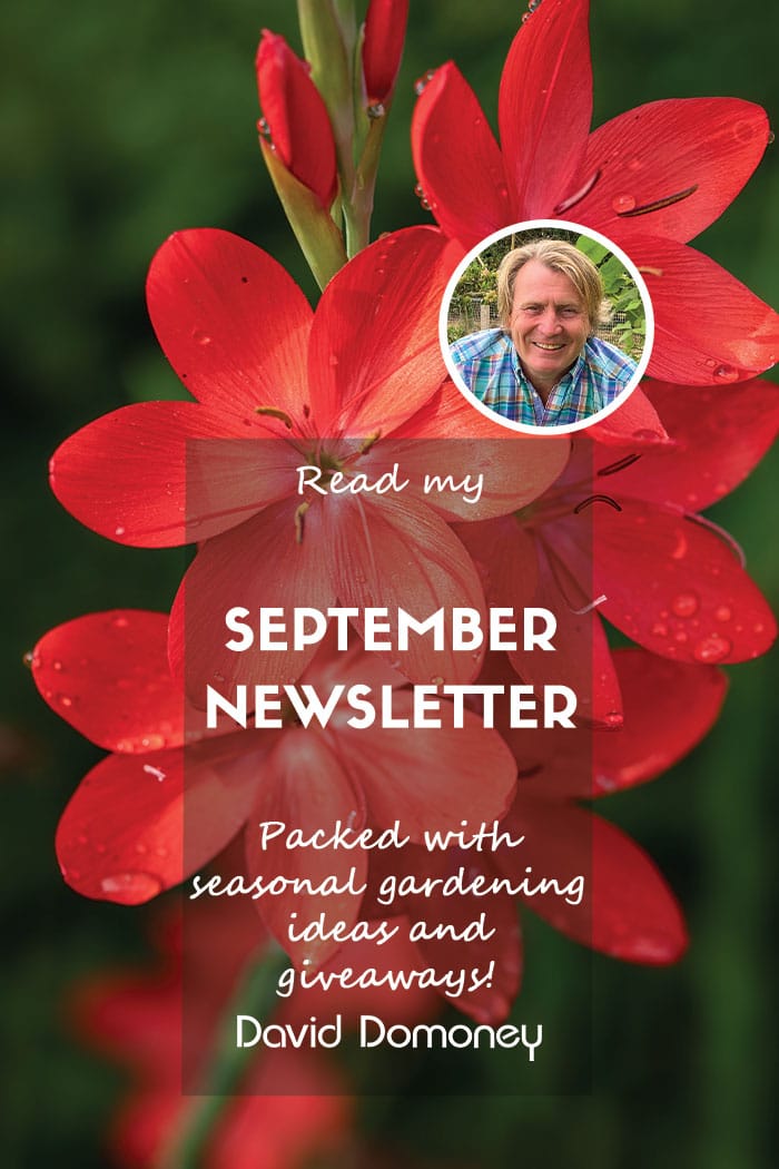 David Domoney’s Newsletter September 2024