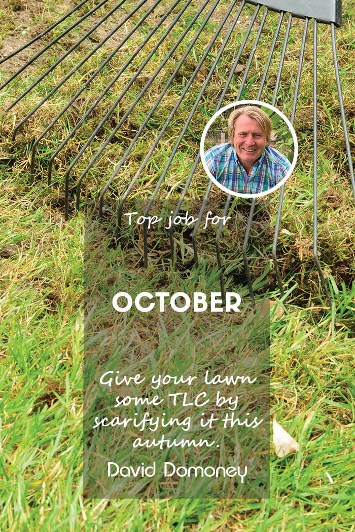 Top Job for October – Scarify your lawn