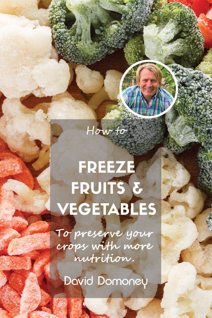 How to freeze fruits and vegetables