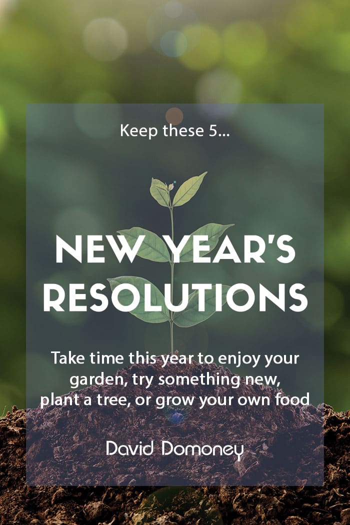 5 Gardening New Year’s Resolutions