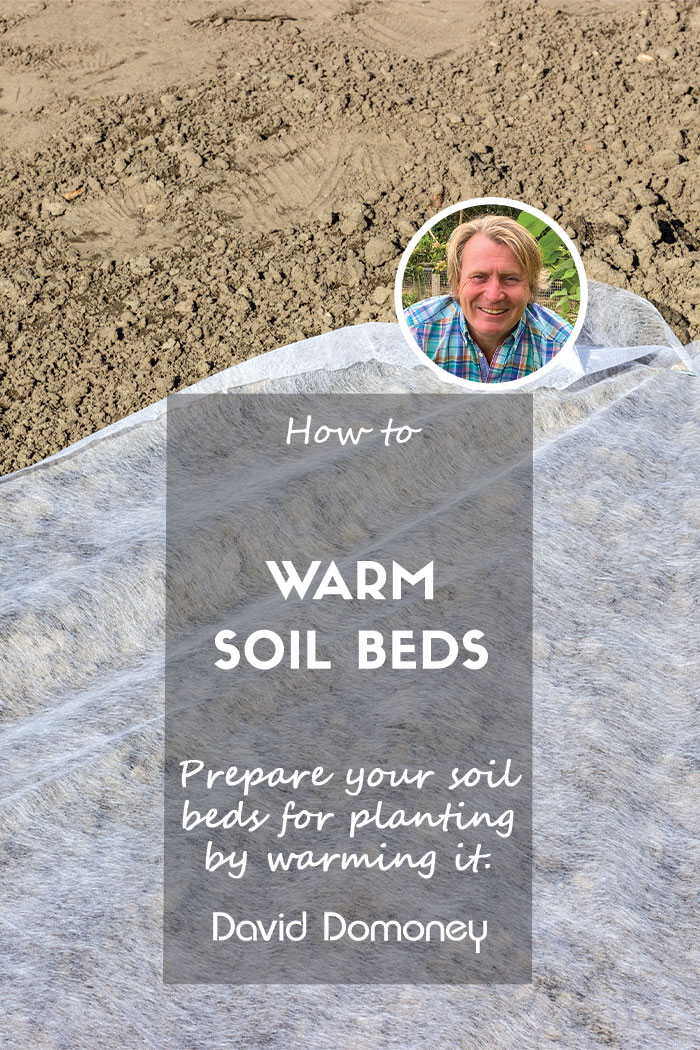 How to warm soil beds before planting