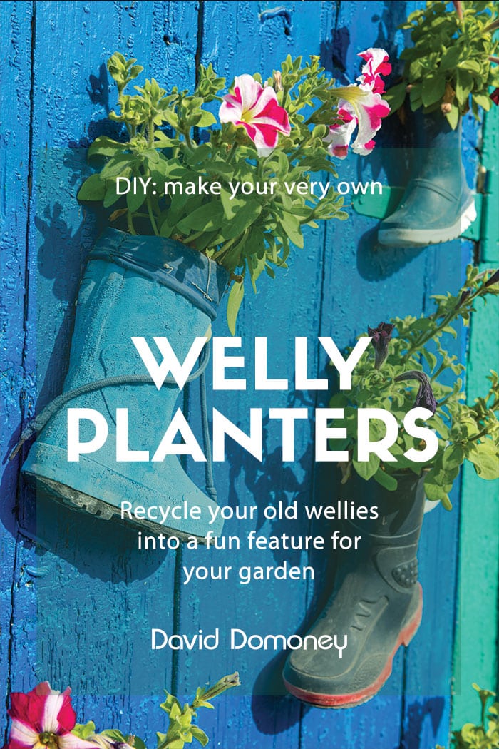 How to make your own welly planter