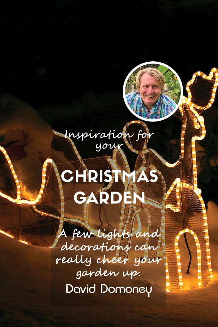 Outdoor Christmas decoration inspiration