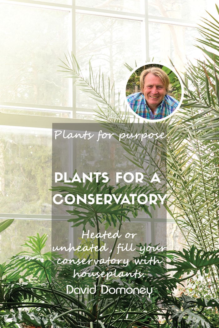 Plants for a Purpose – Plants for a conservatory